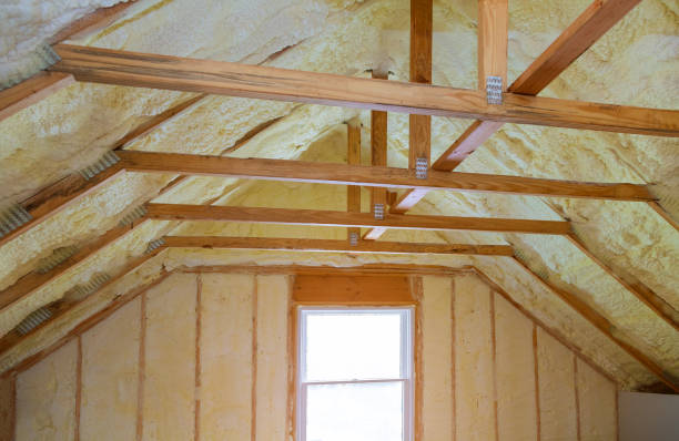 Best Eco-Friendly Insulation in Attla, AL